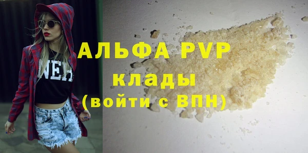 PSILOCYBIN Аркадак