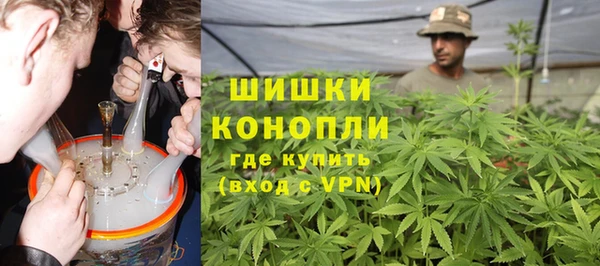 PSILOCYBIN Аркадак