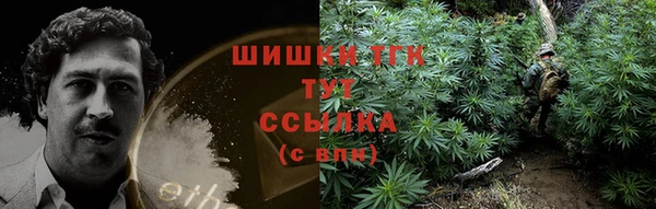 PSILOCYBIN Аркадак