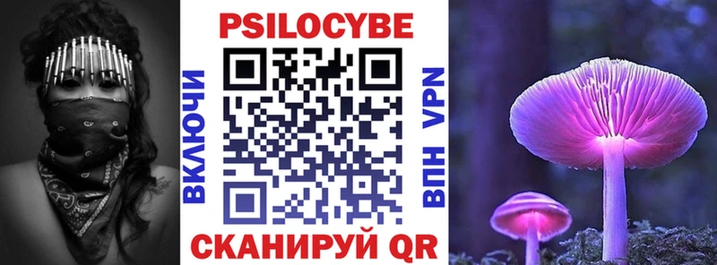 Псилоцибиновые грибы Psilocybine cubensis  Отрадная 