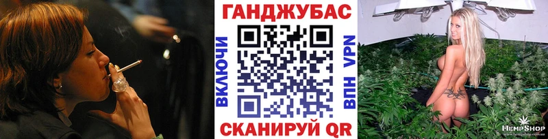 как найти   Отрадная  Конопля сатива 